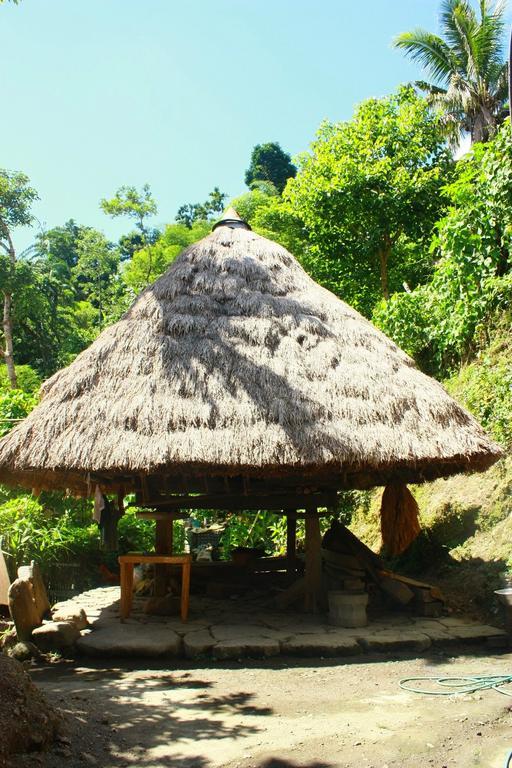 فندق Batad Transient House بناو الغرفة الصورة